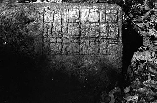 Hieroglyphic Stairway stone from La Amelia