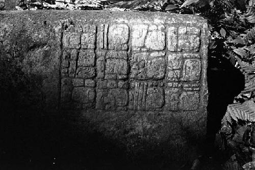 Hieroglyphic Stairway stone from La Amelia