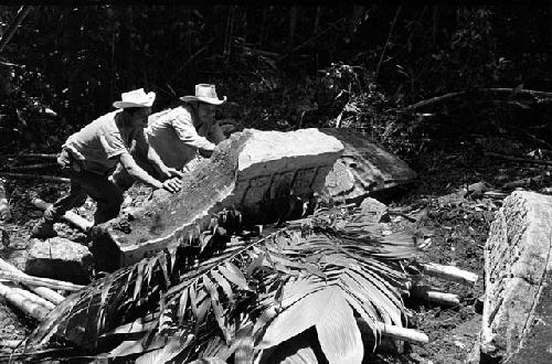 Men laying Stela 8 down