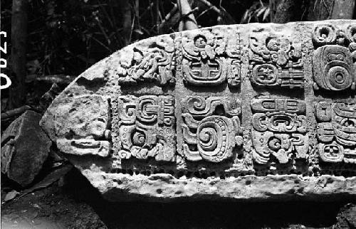 Stela 8 at Dos Pilas