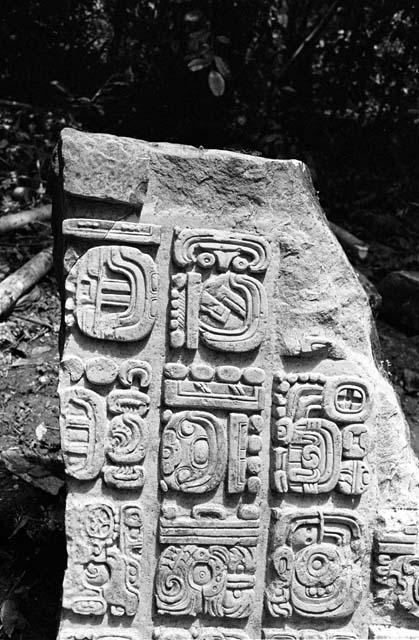 Stela 8 at Dos Pilas