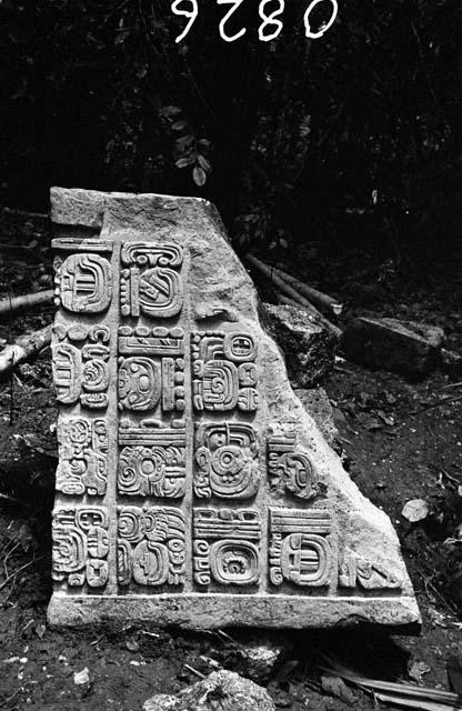 Stela 8 at Dos Pilas