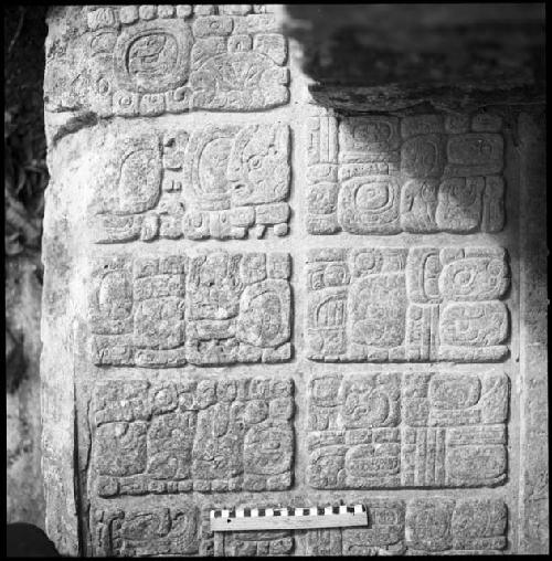 Upper step tread of Hieroglyphic Stairway 3 of Structure 44 at Yaxchilan