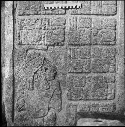 Upper step tread of Hieroglyphic Stairway 3 of Structure 44 at Yaxchilan