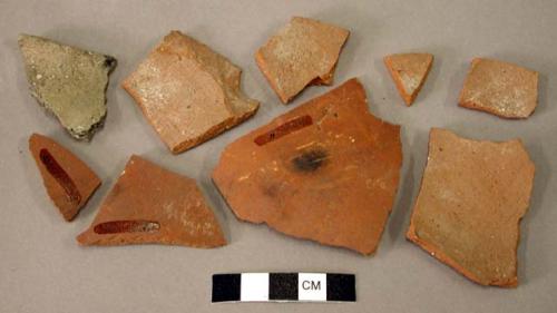 Ceramic rim and body sherds, 8 plain red, 1 plain shell temper