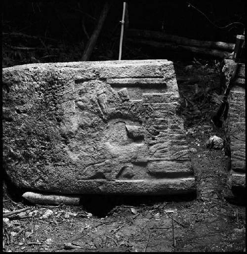 Stela 11 at Naranjo