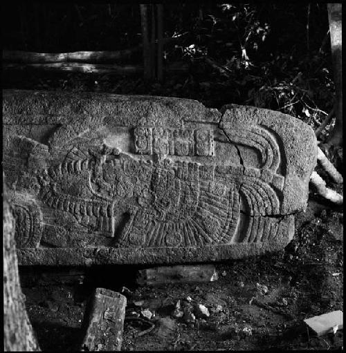 Stela 11 at Naranjo