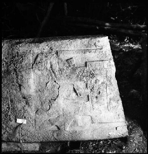 Stela 11 at Naranjo