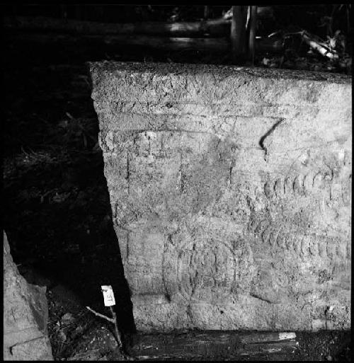 Stela 11 at Naranjo