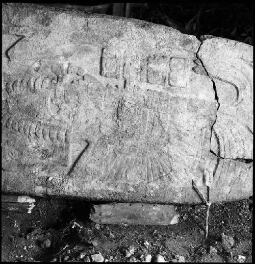 Stela 11 at Naranjo