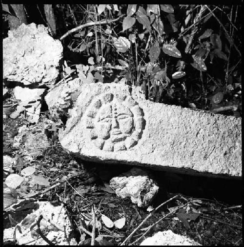 Sculpted Stone 3 at Ek Balam