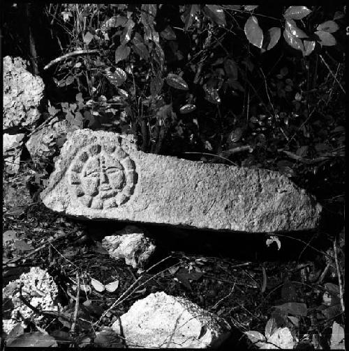 Sculpted Stone 3 at Ek Balam