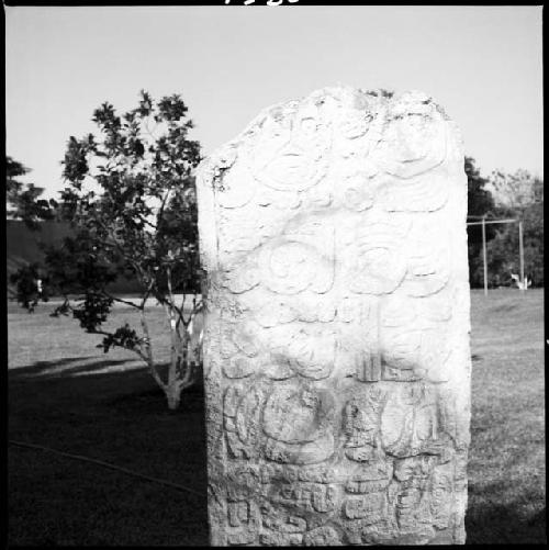 Stela at Merida