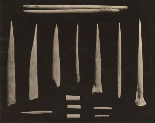 Implements from shell midden