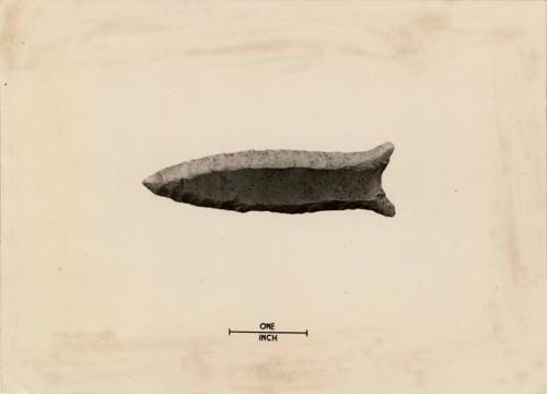 Folsom-like projectile point