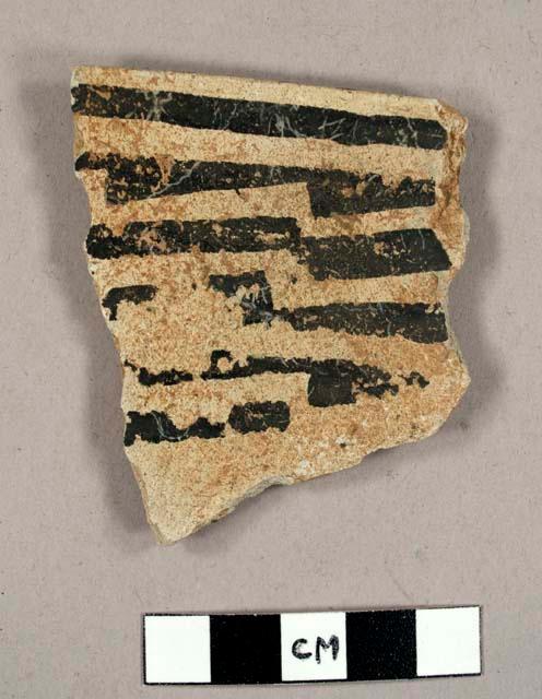 Sherd