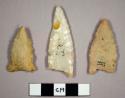 Stone projectile points, fluted