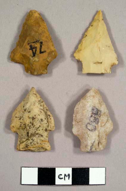 Stone projectile points, stemmed