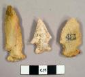 Stone projectile points, side notched