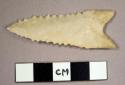 Cast, projectile point, serrated, lanceolate