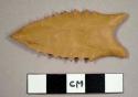 Cast, projectile point, serrated, Dalton No. 34