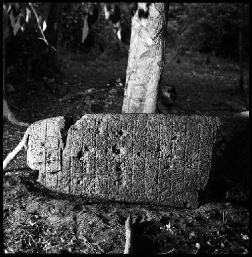 Stela 11 at Naranjo