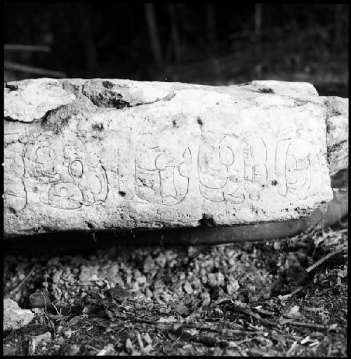 Stela 15 at Naranjo with details inked