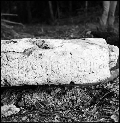 Stela 15 at Naranjo with details inked