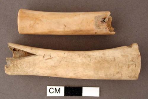 Bone, shaft cut at both ends, one with oval perforation at one end and notch in