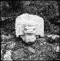 Head of statue at Yaxchilan