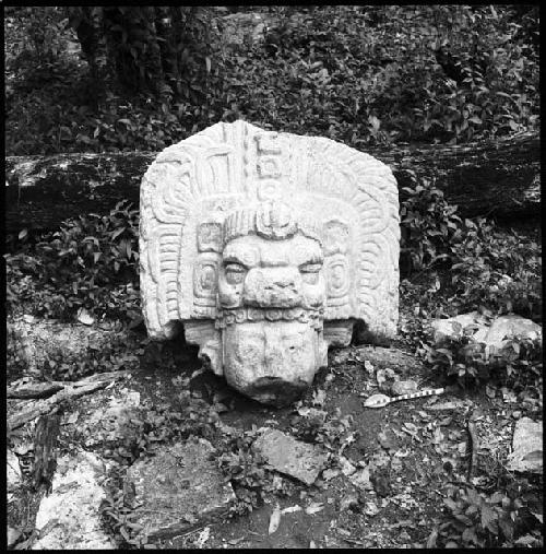 Head of statue at Yaxchilan