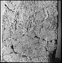 Detail of Stela from Caracol