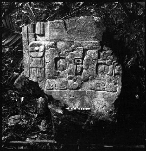 Stela 5 at Piedras Negras