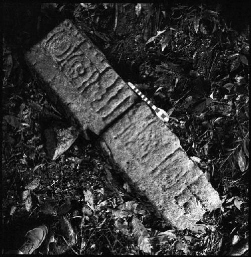 Stela 3 at Piedras Negras