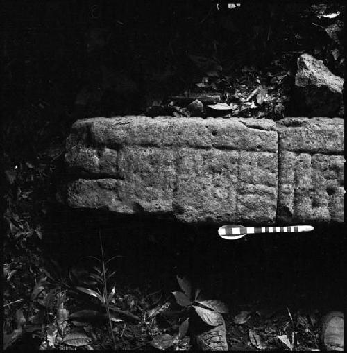 Stela 3 at Piedras Negras