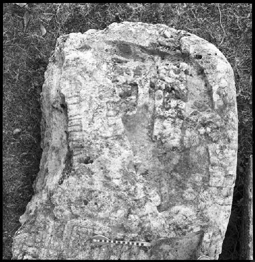 Fragment of Stela 28 from Naranjo