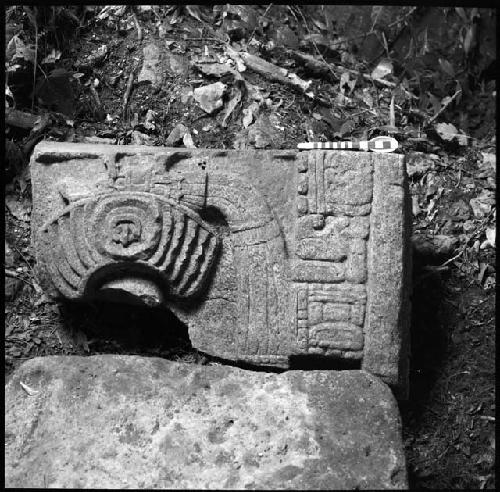 Stela 3 at Piedras Negras