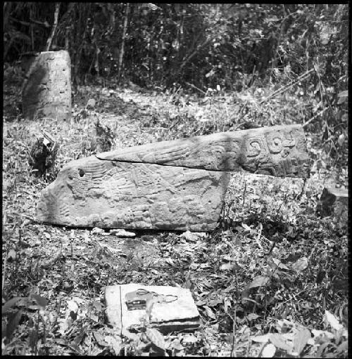 Stela 3 at Tres Islas