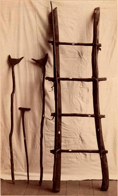 Ladder, crutches, and cane