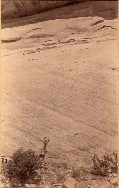 Two people climbing rock