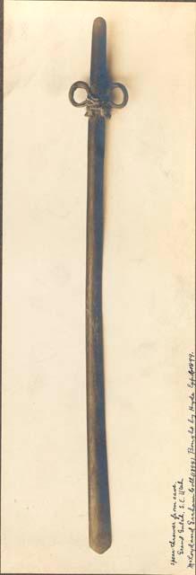 Spear thrower from cave; McLoyd and Graham Collection (1894)