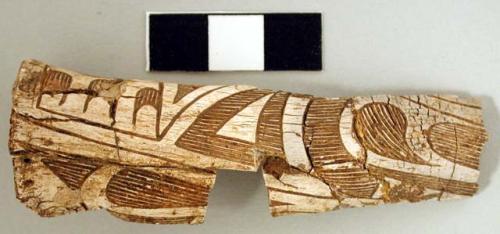 Bone with incised decoration