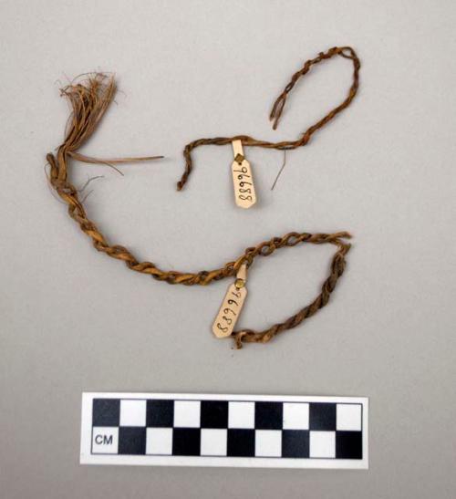 Cordage fragment