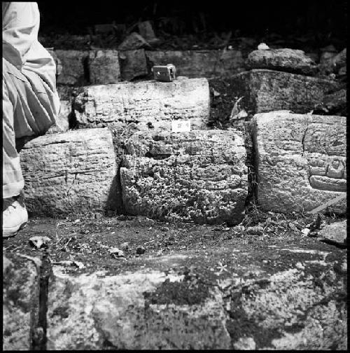 Stone from Hieroglyphic Stairway 1 of Structure 5 at Yaxchilan