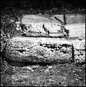 Stone from Hieroglyphic Stairway 1 of Structure 5 at Yaxchilan