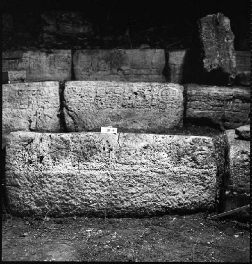 Stone from Hieroglyphic Stairway 1 of Structure 5 at Yaxchilan