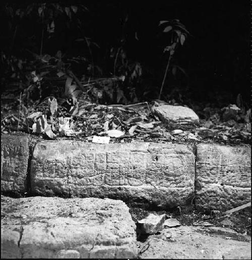 Stone from Hieroglyphic Stairway 1 of Structure 5 at Yaxchilan