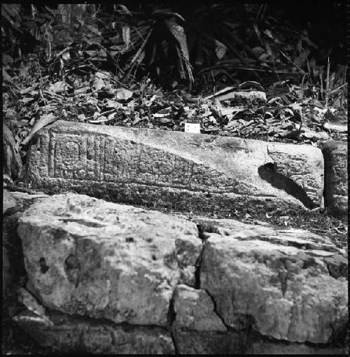 Stone from Hieroglyphic Stairway 1 of Structure 5 at Yaxchilan