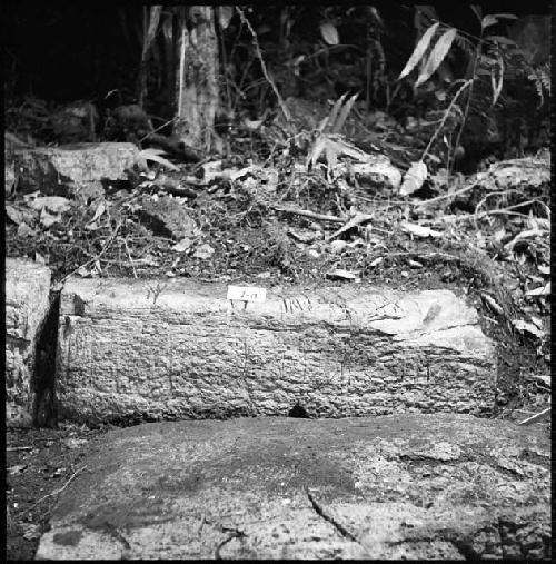Stone from Hieroglyphic Stairway 1 of Structure 5 at Yaxchilan