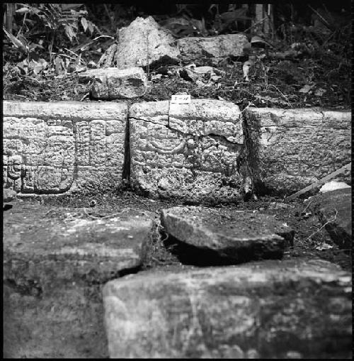 Stone from Hieroglyphic Stairway 1 of Structure 5 at Yaxchilan